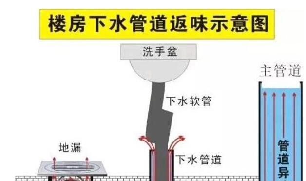 马桶臭味怎么办（马桶臭味扰人？快来学习这些小技巧）