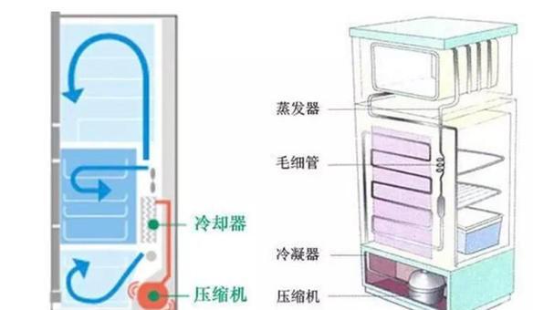 冰箱无霜和有霜的对比及选择指南（无霜与有霜冰箱的优缺点对比）